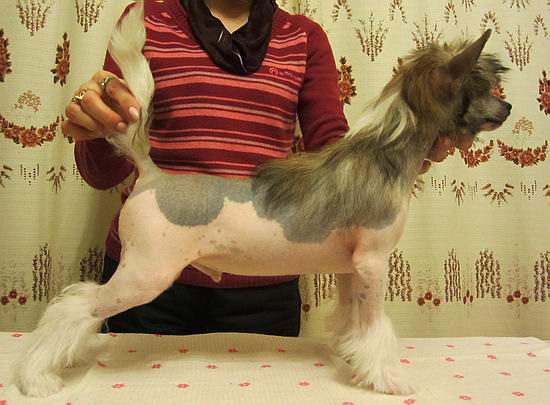 Kristal Yaniry Vilmonte