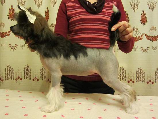 Kristal Yaniry Viktoriay