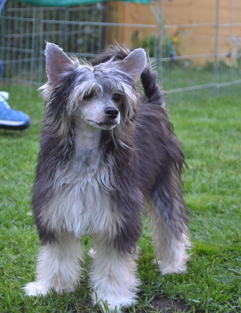 Charming Treasure After Darkness