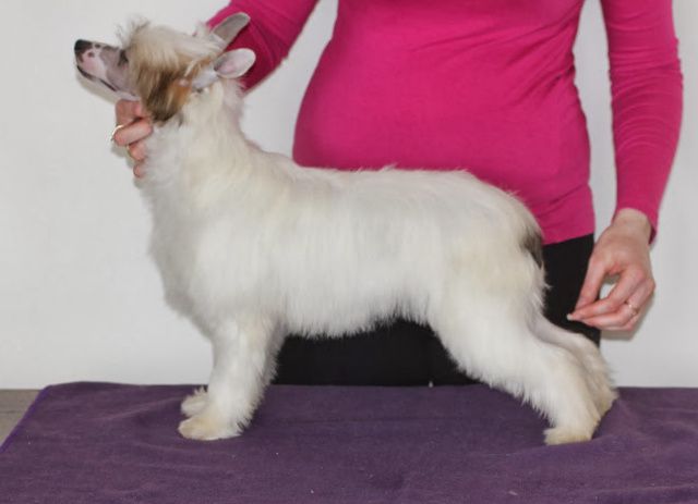 Godna Podziwu Innowacja