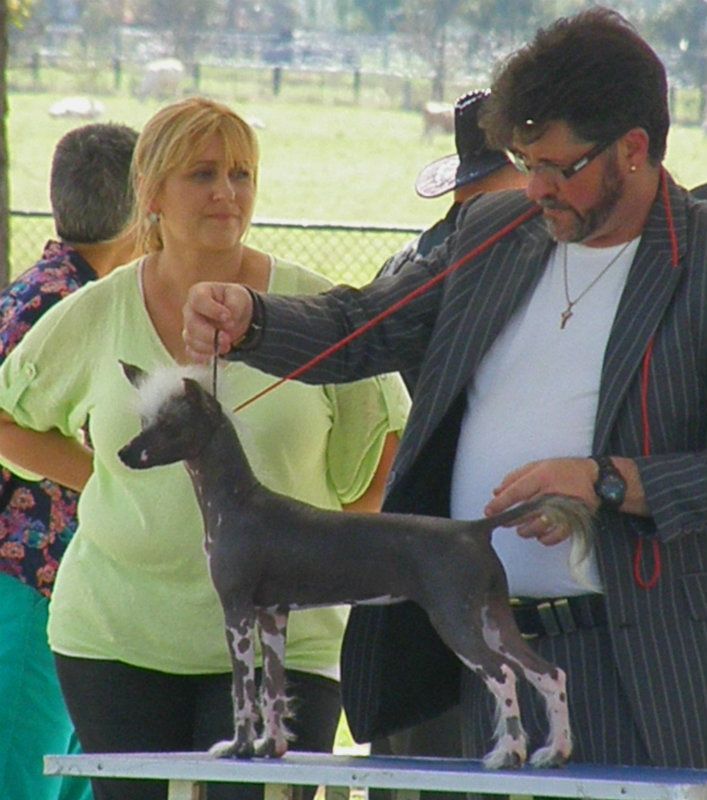 Fayrelyn TheGirl Wth Dragontatoo