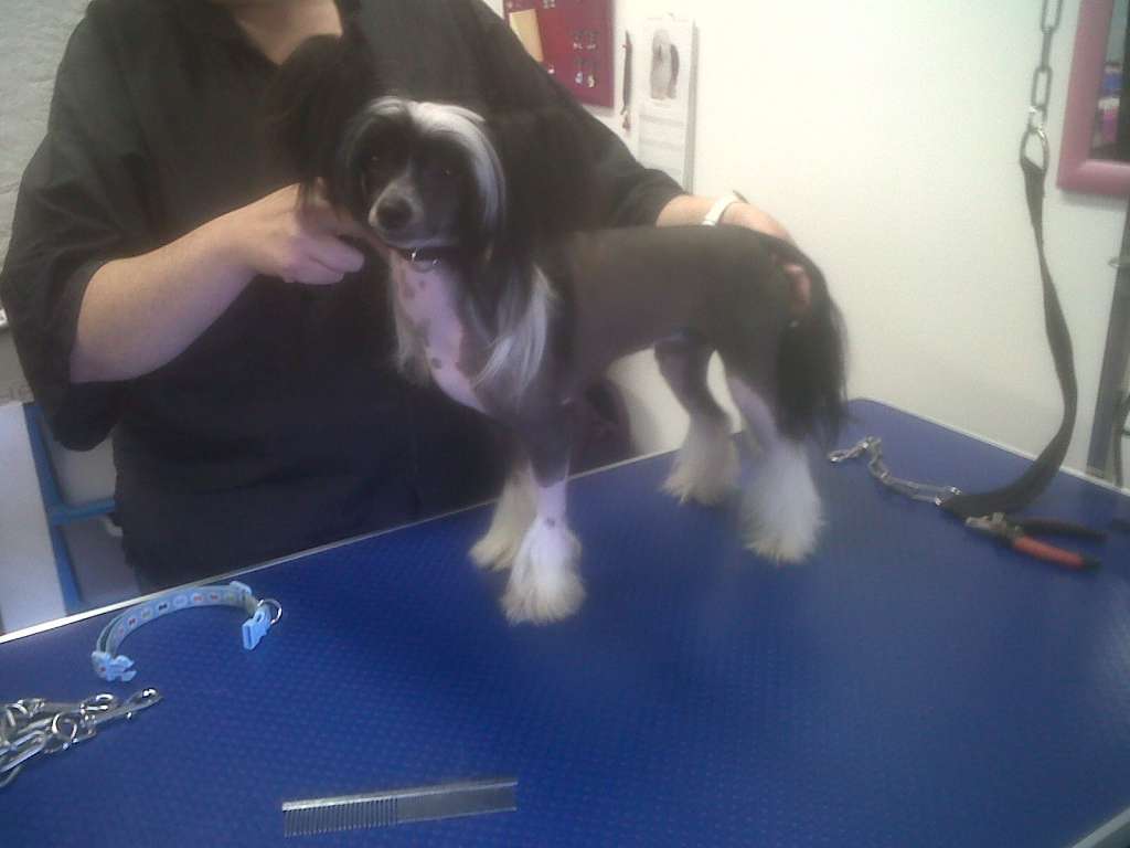 Sigyns Mini Me at lomharra