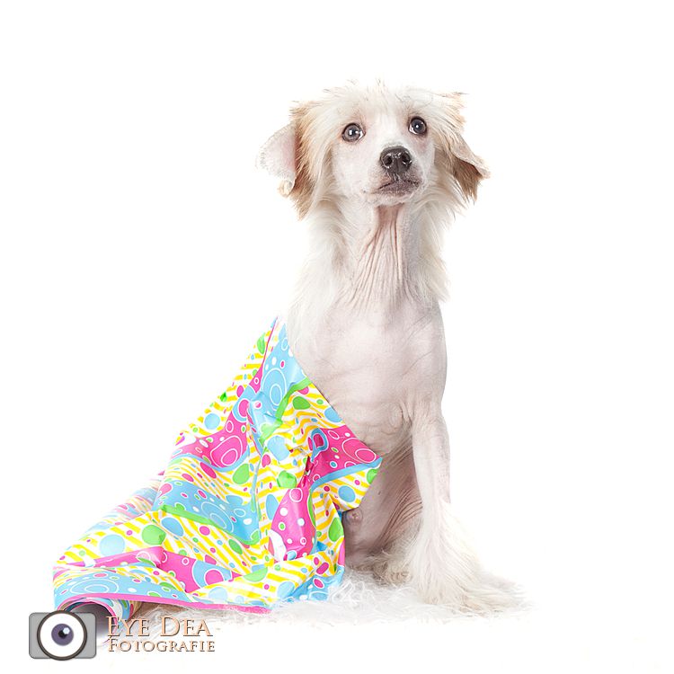 Happy Dancing Viking Vladimir