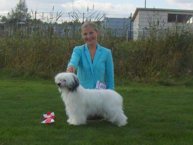 Lady's Trick Ultimate Best