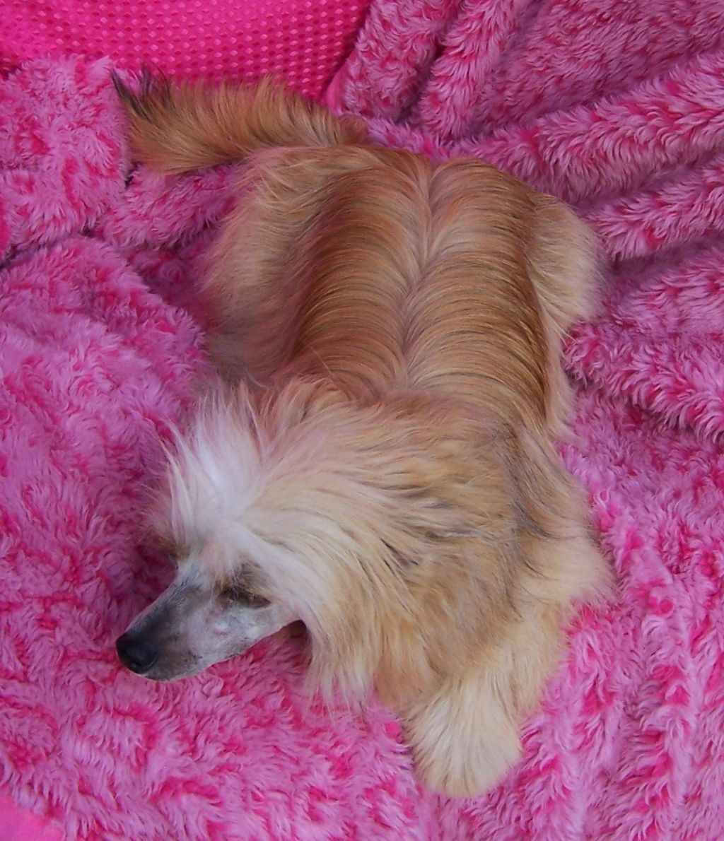 A'Eden Bright Lights On Broadway