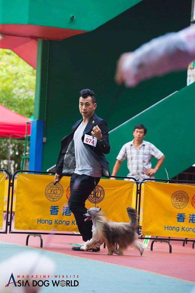 Ch. Dîndhâli InXpected Mario with Gasify