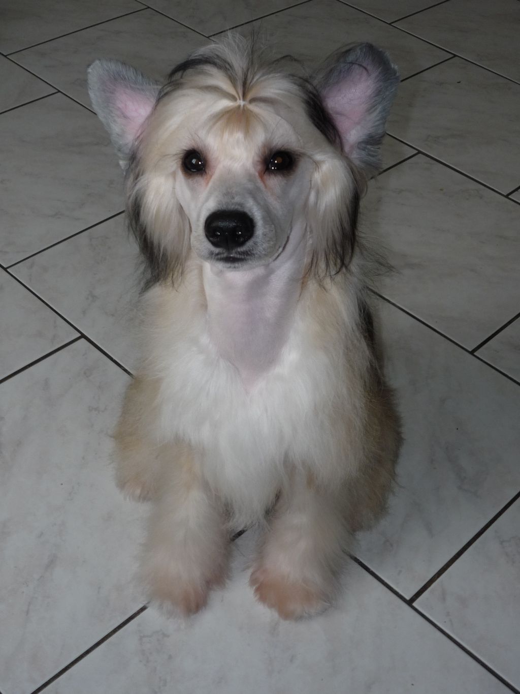 Original Stone Idaho