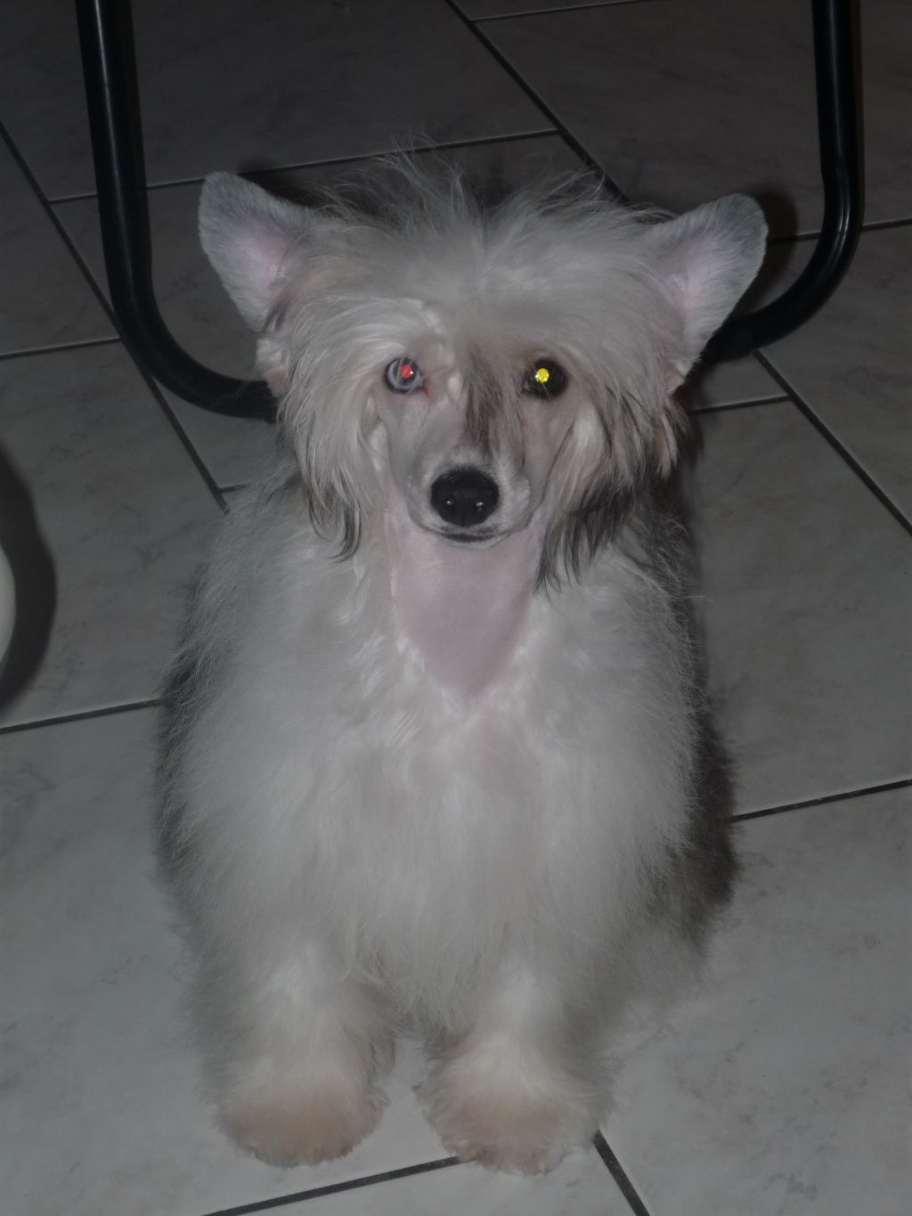 Original Stone Indiana Lara