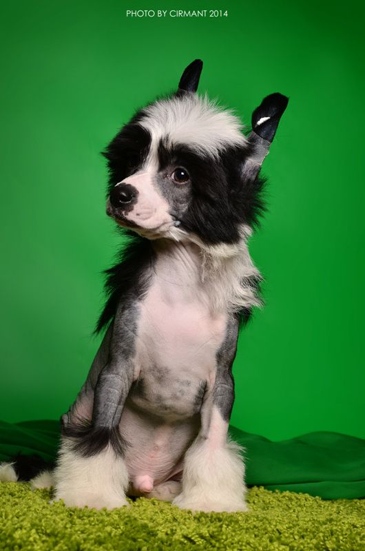 My Lucky Love  Kindred Spirit