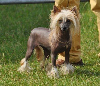 Give me a kiss Little Champs