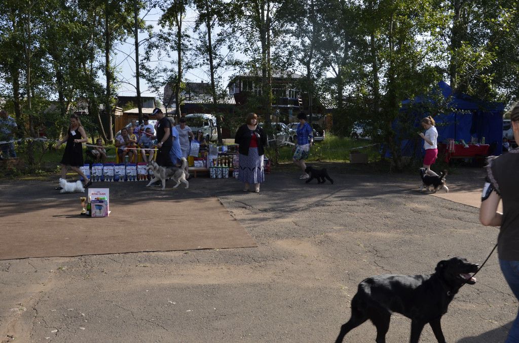 Lifasoria Viel Escada Rockin Rio