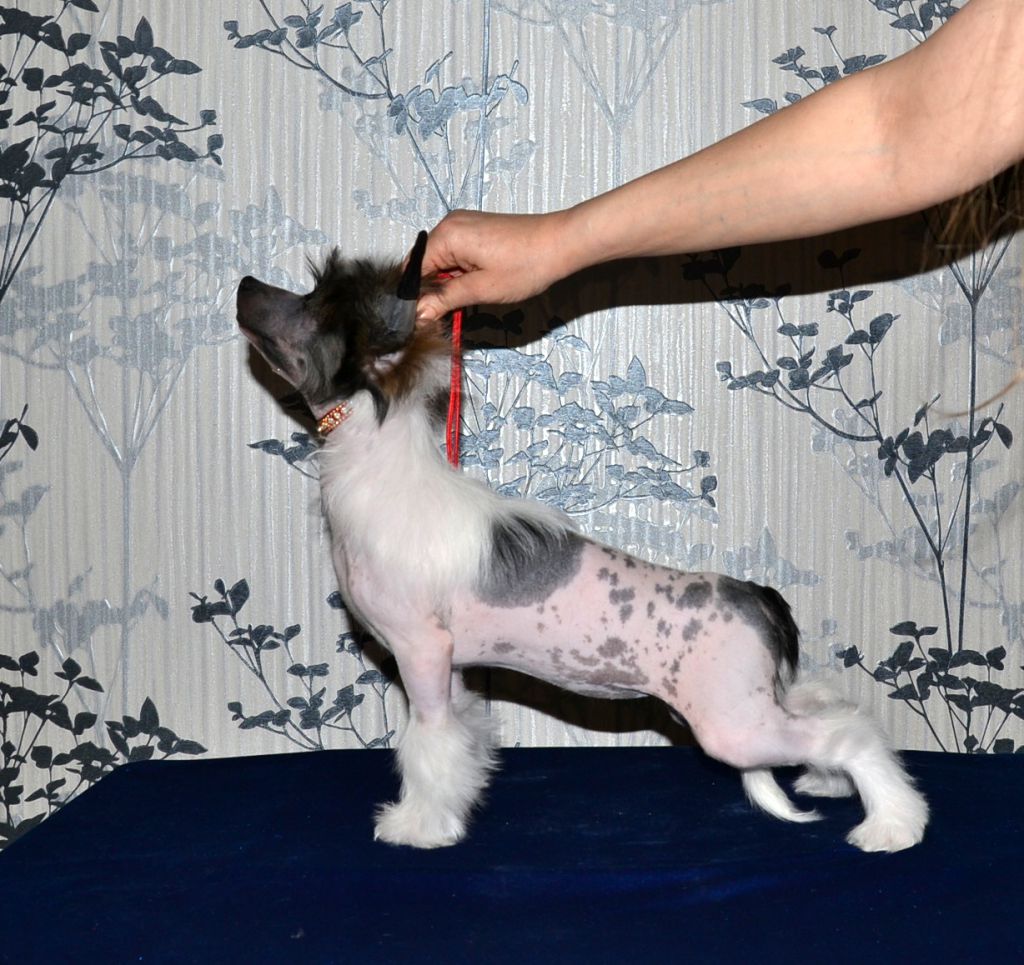 Marvi's-Stile Marisa Ziman