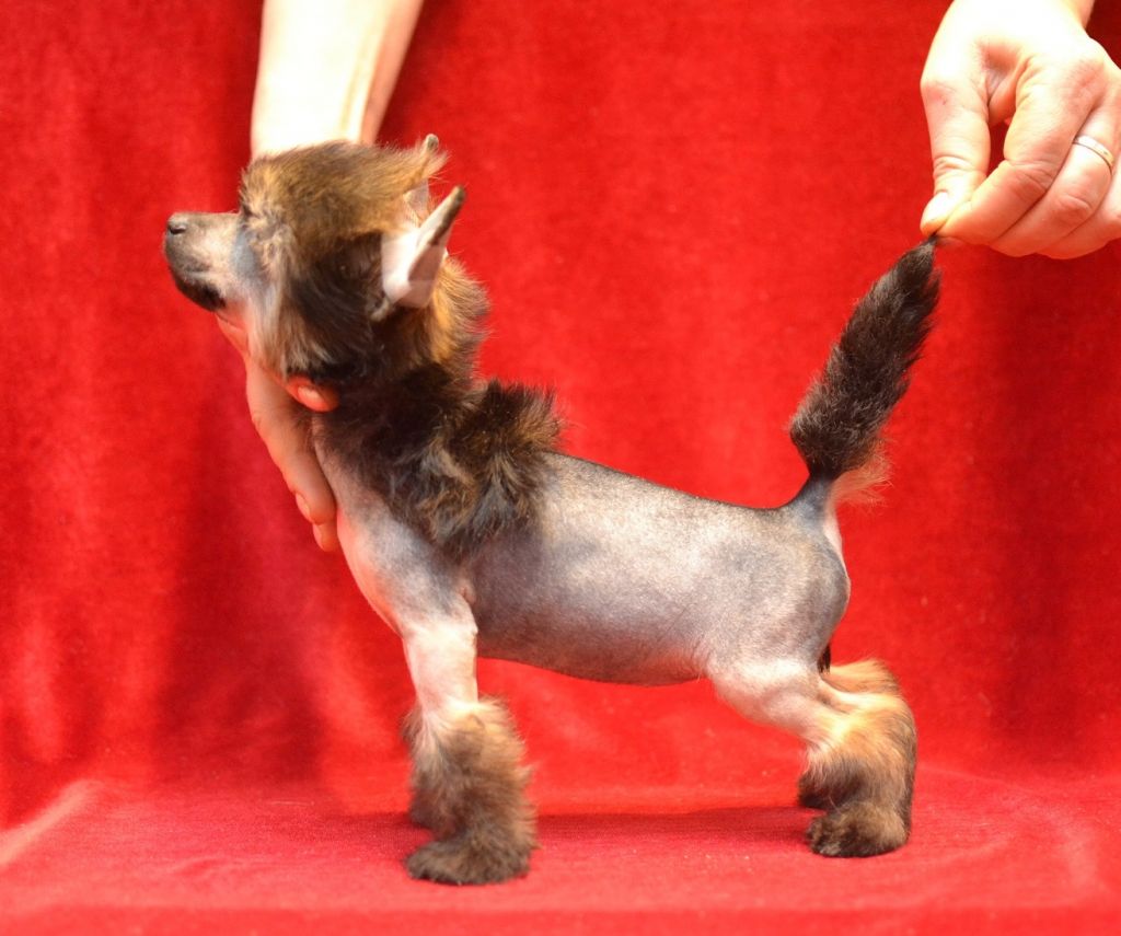 Marvi's-Stile Marina Vlady