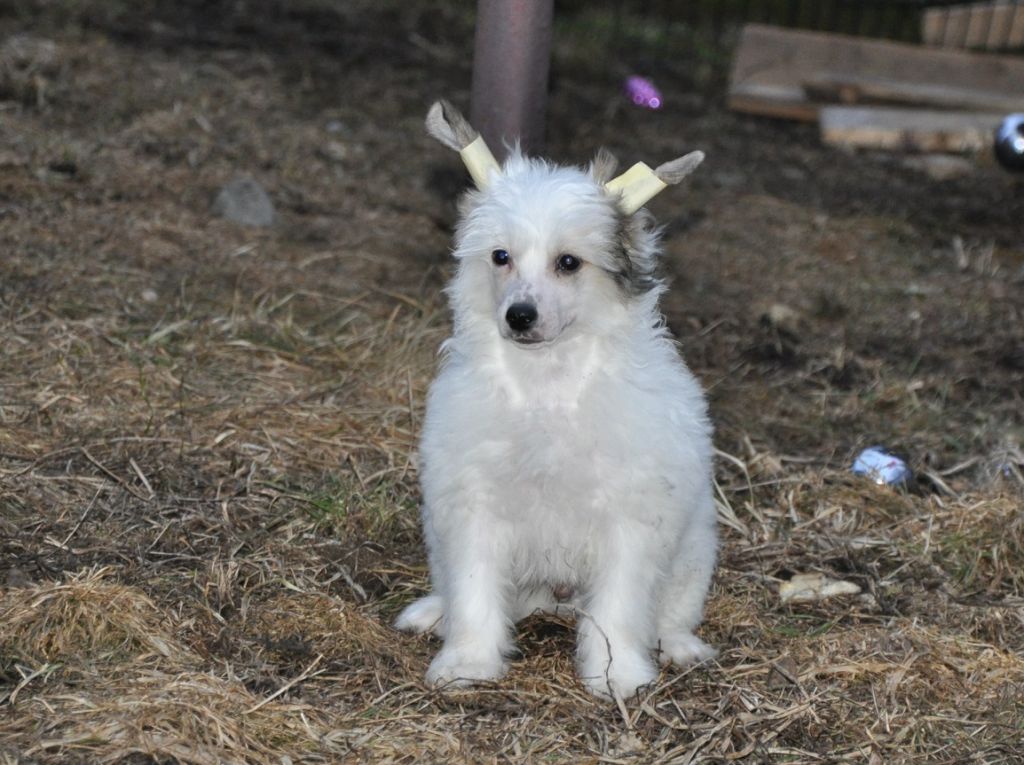 Vincent Van Gogh Winning Smile