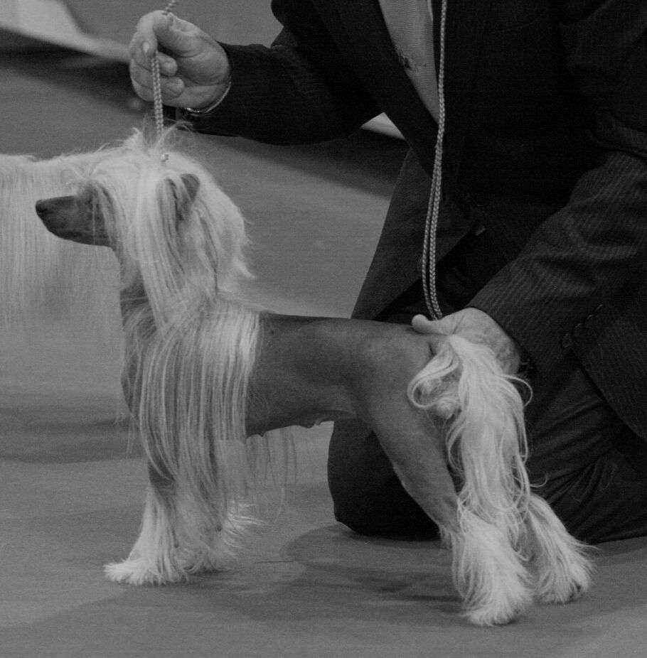 Multi CH Valkrest Delaware