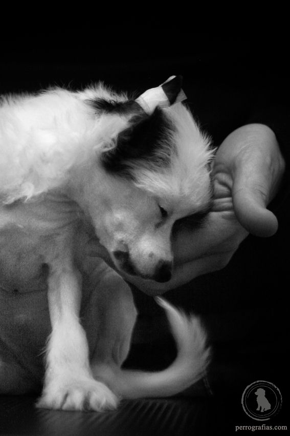 De Cabanelas Bossa Nova