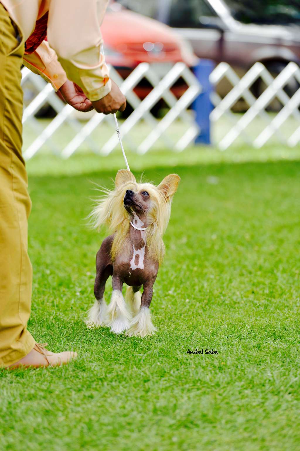 Cosa e'Mandinga Falazairroo