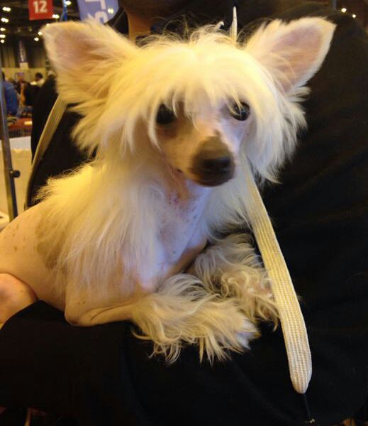 De Cabanelas Pop Music