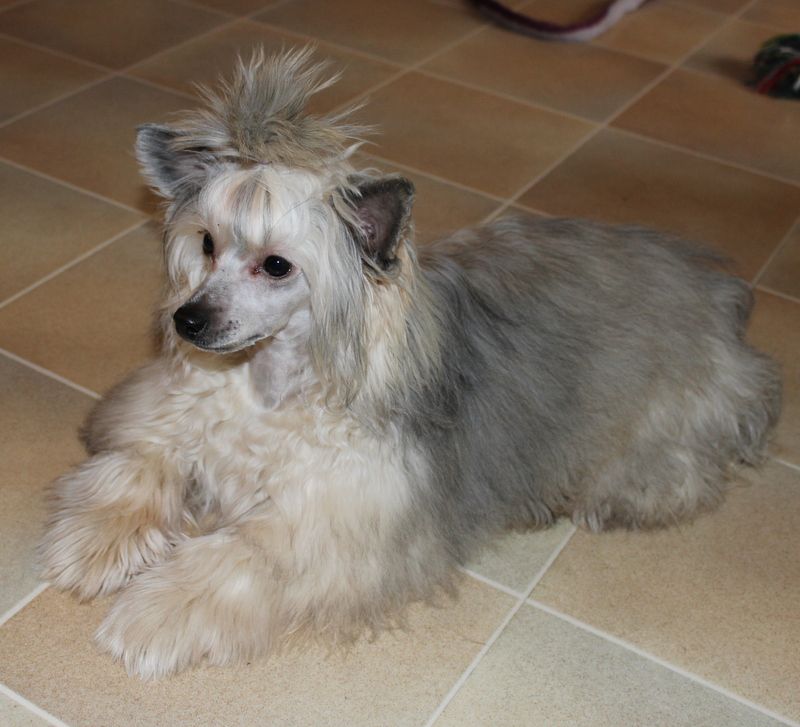 Beachcrest Diesel And Power