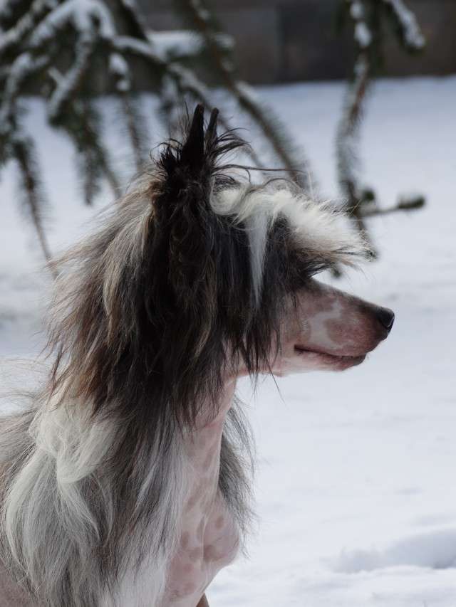 Forseti's Gentle Breeze