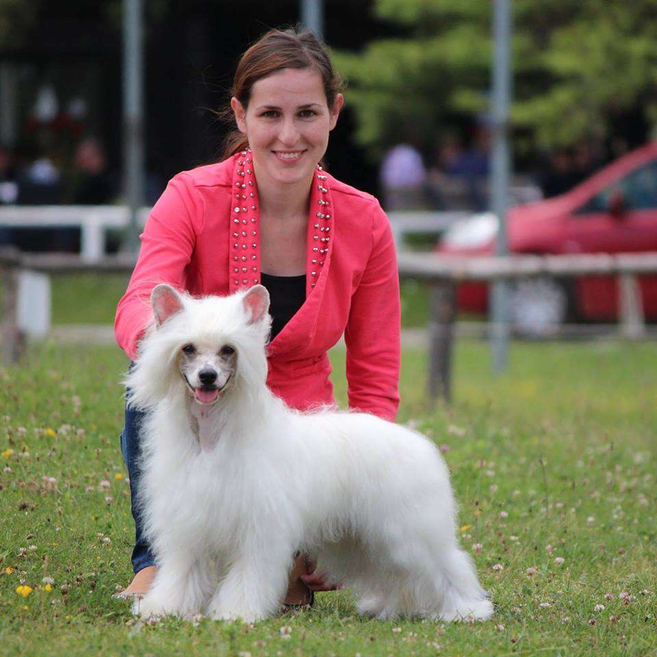 Forseti's Gummy Bear