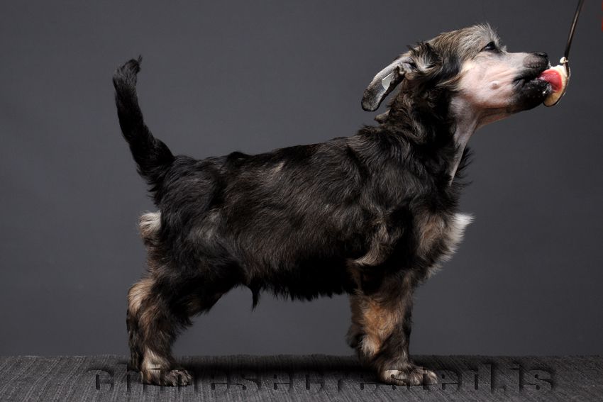 Practical Hero OverAll