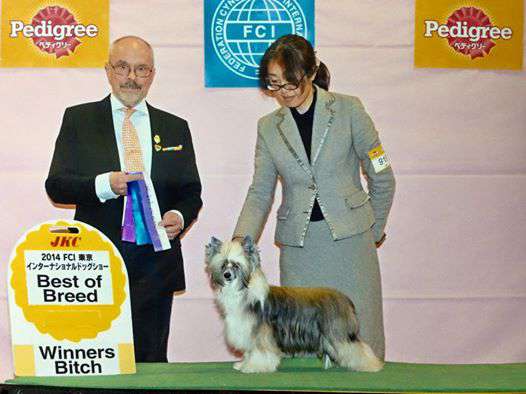 Practical Hero Oblivion