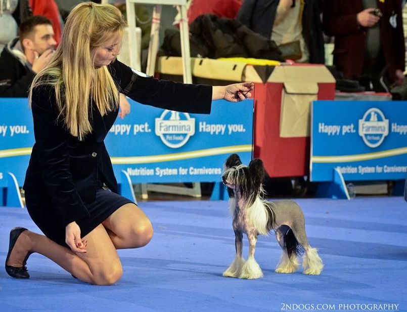 Zorrazo X-rated Flirtini