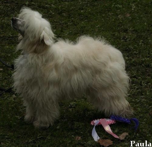 Tournais Friends With Benefits