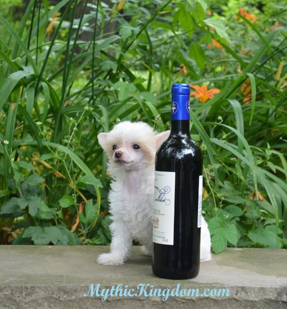 Mythic Spring Apple Blossom