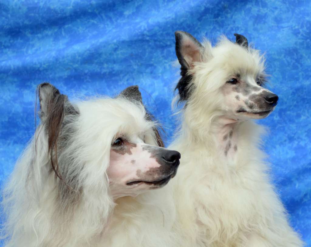 Eveline Luisa z Andelovy dlane