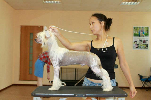 Elance Louange Sunrise Richardo