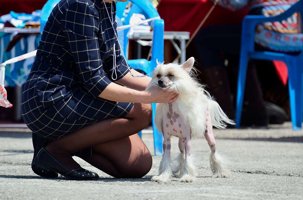 Elance Louange Solnechnaya Rapsodia Roxy