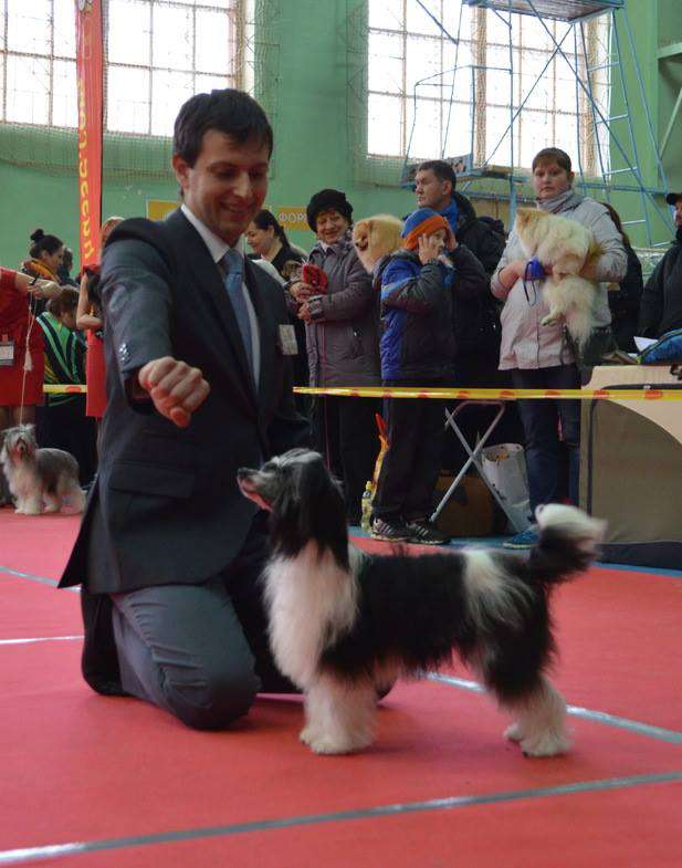 Armani Sharm Ave Maria