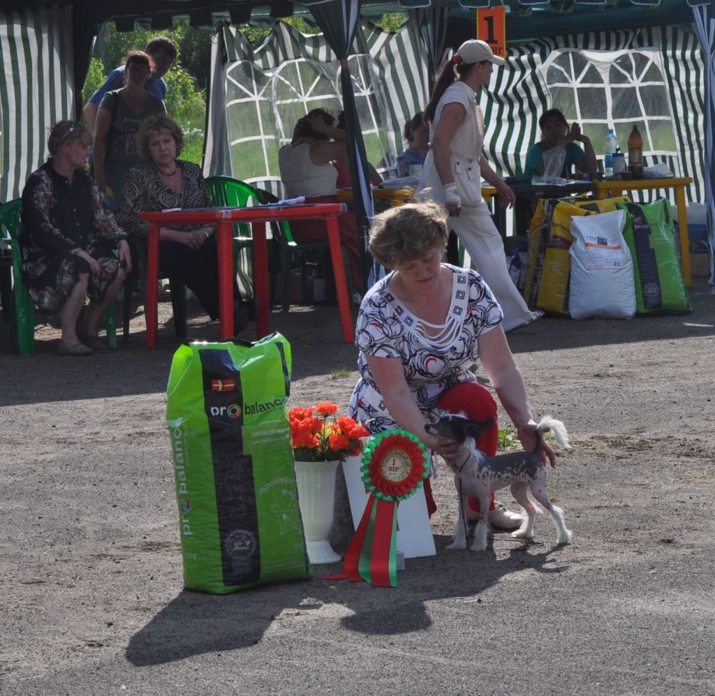 Armani Sharm Angel Sweet