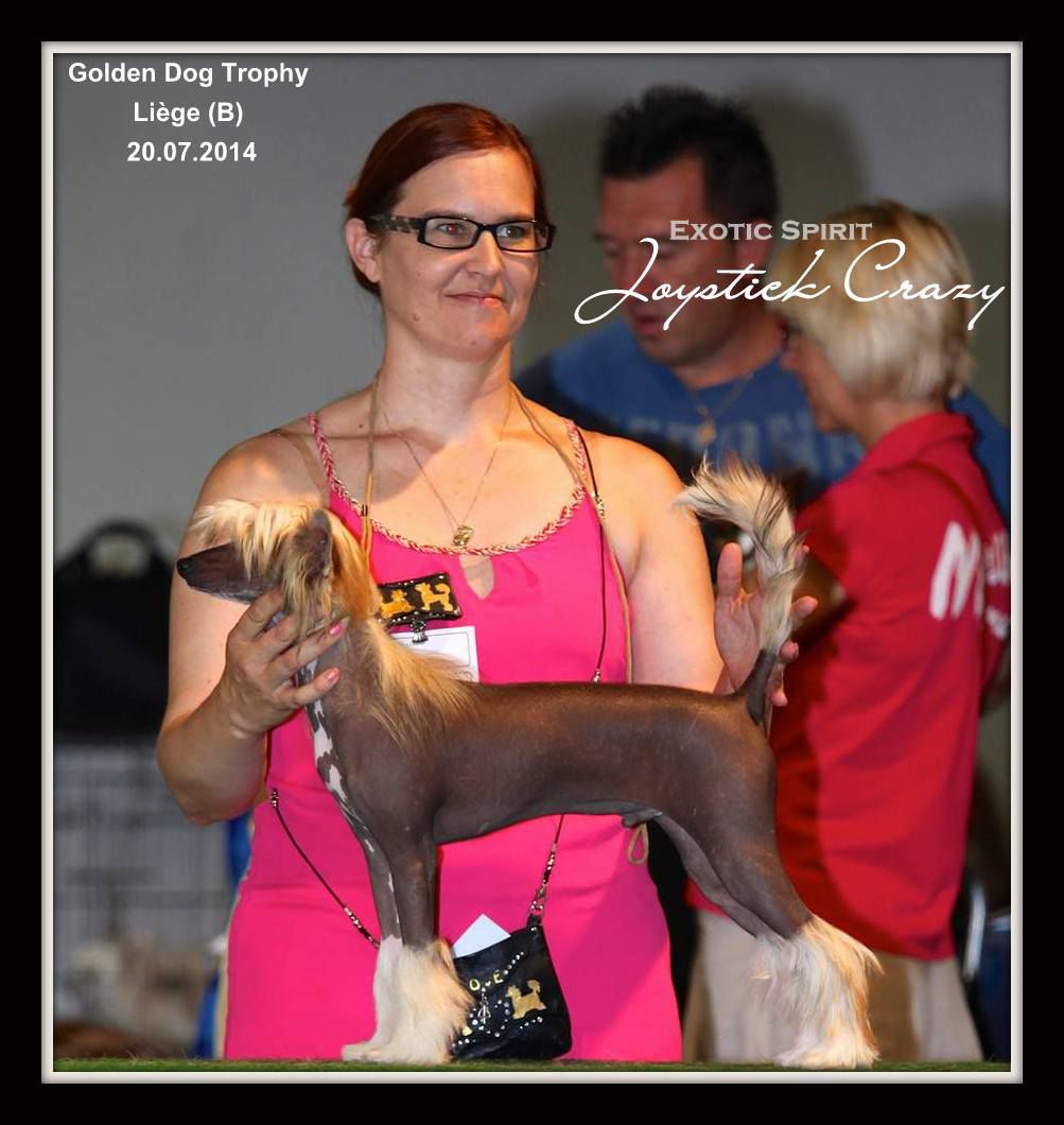 Exotic Spirit Joystick Crazy