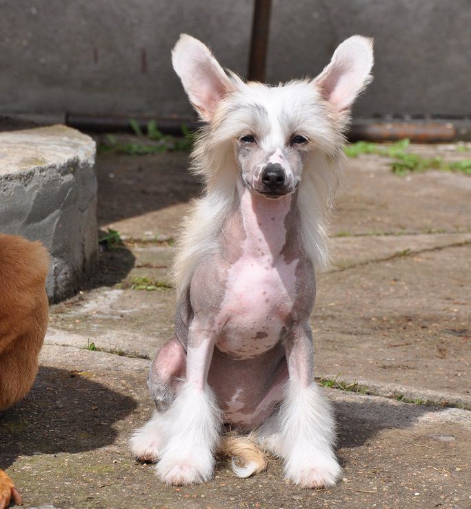 Great Hope Winning Smile