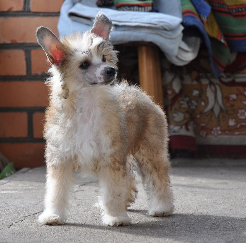 Goldberg Whoopi  Winning Smile