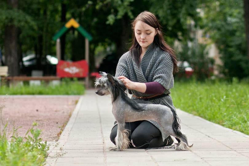 Gran Amigo Valkiria Evivva Nostra