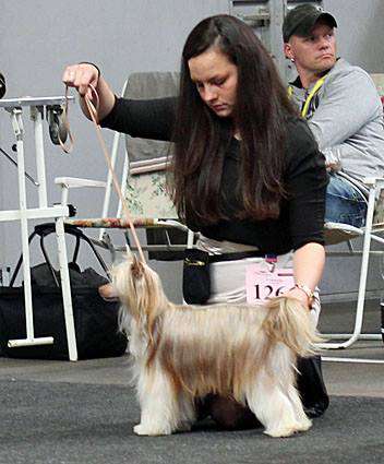 Margery Molosos Gratzi