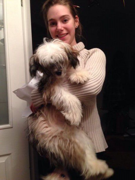 Konishiki Dharma Lily