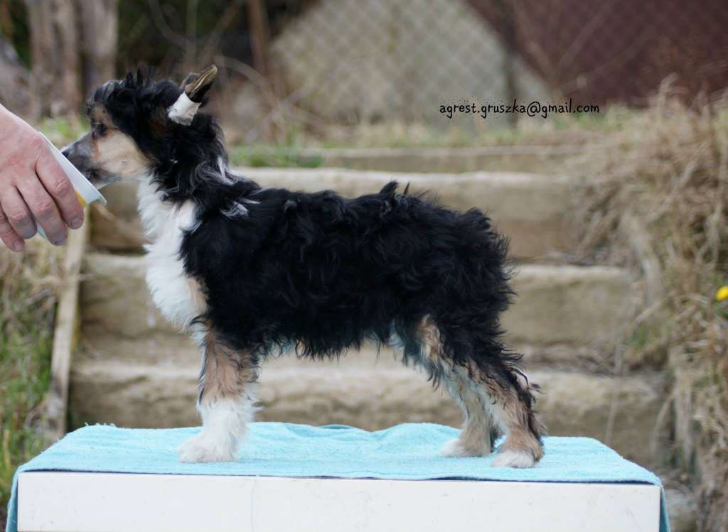 Eurythmics Athel loren