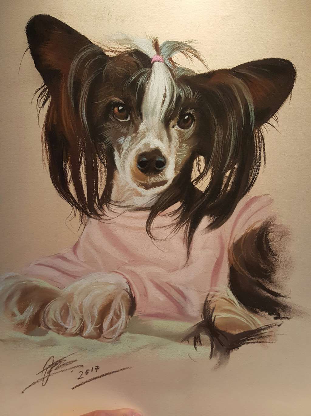 Ch. Maximilla's Born So Dahm Cute