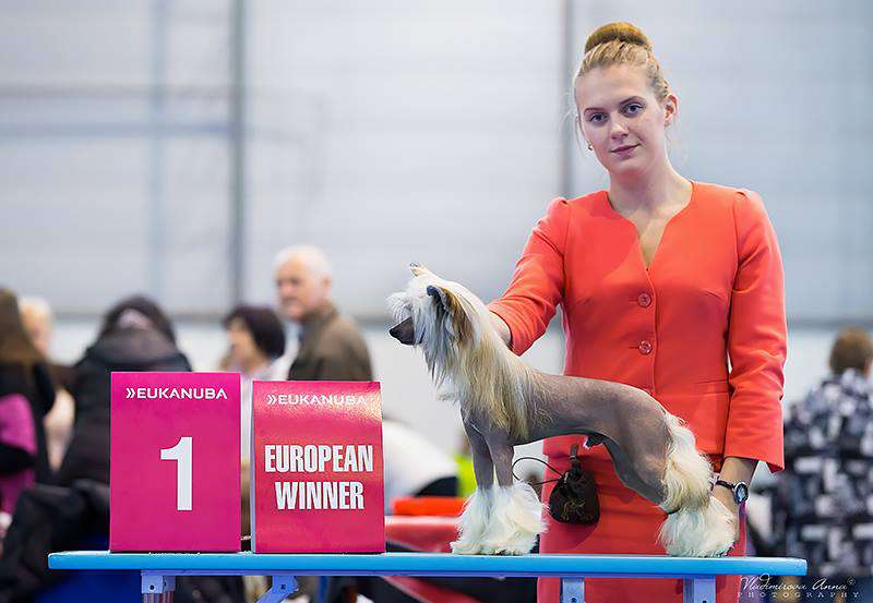 Kymco Maxxer Gattaca