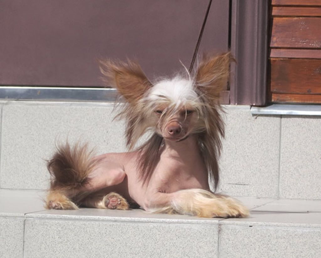 Vernisazh Mari Bon Bon Pumpon