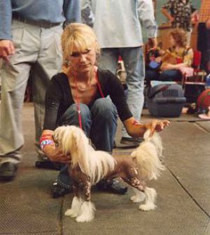 Fantastik Kashmir Azor