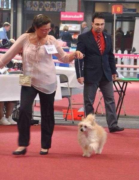 Louis Vuitton Gattaca