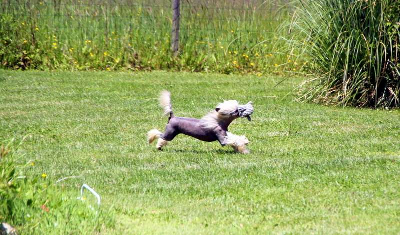 Ambereyes' Magic Bruno Banani