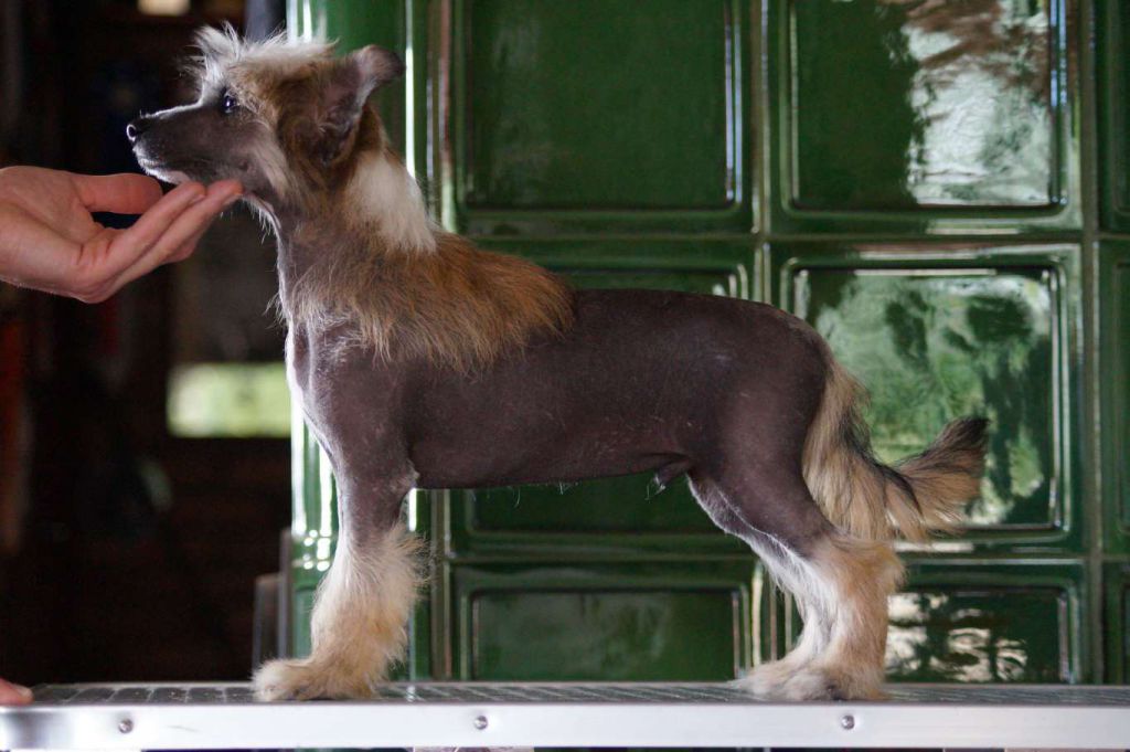 Ambereyes' Magic Blueberry Bill