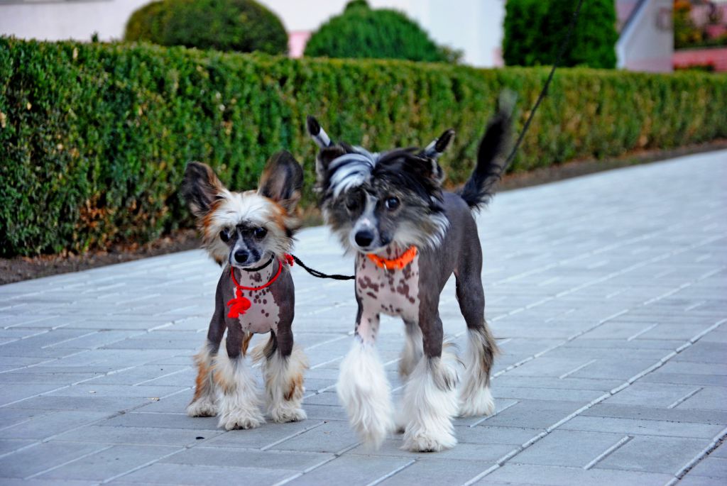 Charming April Sun Ruah in Vifaniya